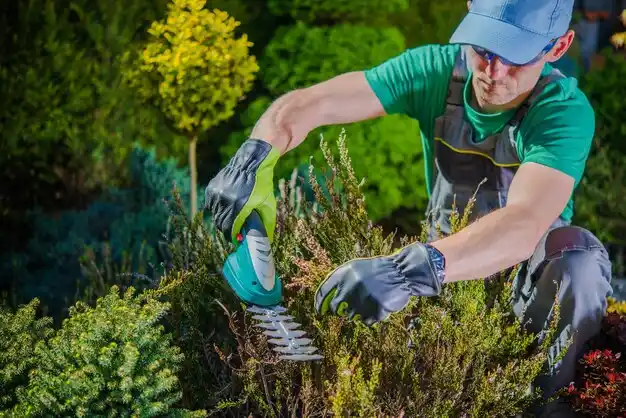 landscaping services Advance